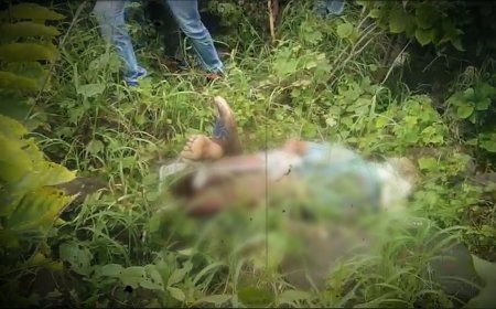 बकरी चोरों ने ले ली बुजुर्ग की जान, 28 बकरी चोरी कर हुए फरार