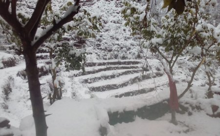 Weather Update : उत्तराखंड में साल की पहली बर्फबारी शुरू, अक्तूबर में ही नवम्बर जैसी ठंड का अनुमान 