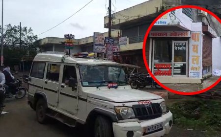 Jabalpur News: पिस्टल की नोक पर ज्वेलर्स की दुकान पर लूट, पुलिस बनी मुकदर्शक