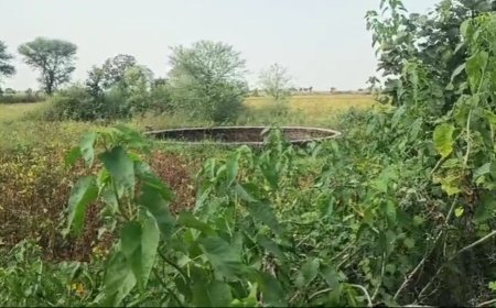 MP Guna Today : कुंभराज में 19 वर्षीय लड़की की लाश खेत के कुएं में मिली