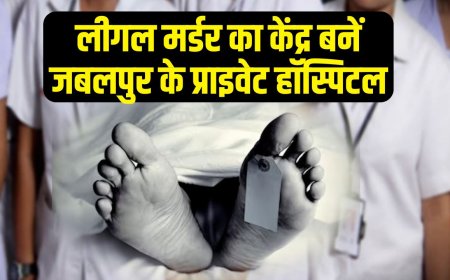 Jabalpur News Today : लीगल मर्डर का केंद्र जबलपुर के प्राइवेट हॉस्पिटल, बिना रजिस्ट्रेशन के नर्सिंग स्टाफ से कराई जा रही ड्यूटी 