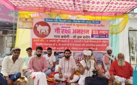 Guna News Today: गौवंश को बचाने के लिये चौथे दिन भी जारी रहा अनशन, प्रशासन ने नहीं ली सुध