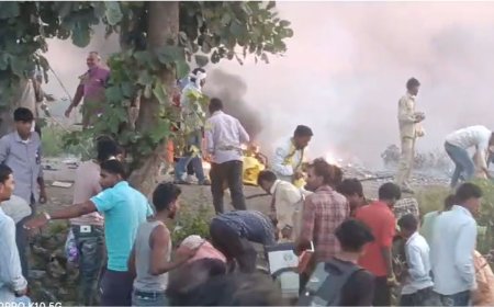 Guna News: मारकी महू की पटाखा बाजार में  भीषण आग, 30 दुकान समेत 6 बाइक खाक