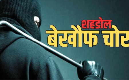 शहडोल में बेखौफ चोर, पुलिस की नाक के नीचे हो रही चोरी