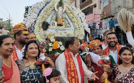 शाही पालकी महोत्सव १० नवंबर रविवार को धूमधाम से हुई शुरू