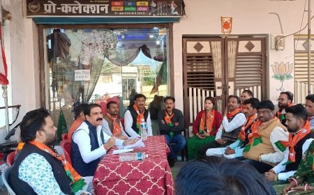 भाजपा पार्षद प्रत्याशी के समर्थन में जिलाध्यक्ष ने ली पार्षदों की बैठक