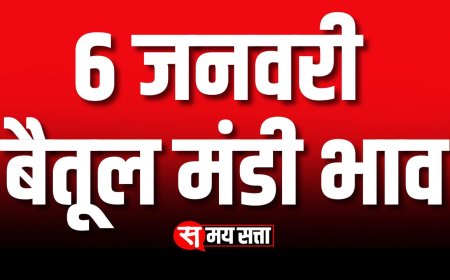 6 जनवरी 2025 बैतूल मंडी भाव | 6 January Betul Mandi Price