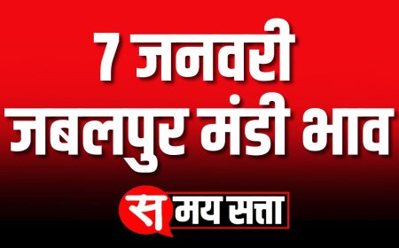 जबलपुर मंडी भाव,  7 जनवरी 2025 | 7 January 2025, Jabalpur Mandi Bhav