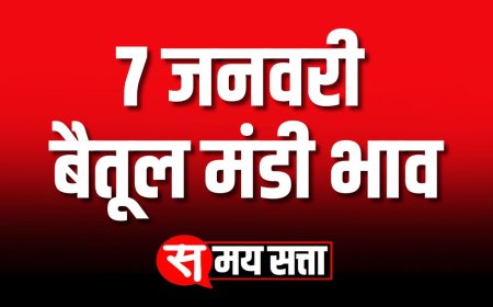 बैतूल मंडी भाव, 7 जनवरी 2025 | Betul Mandi Bhav