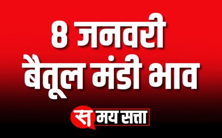 बैतूल मंडी भाव, 8 जनवरी 2025 | Betul Mandi Bhav | आज का बैतूल मंडी भाव