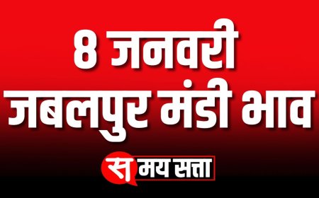 जबलपुर मंडी भाव, 8 जनवरी 2025 | Jabalpur Mandi Bhav