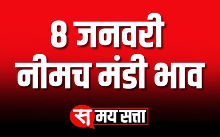 नीमच मंडी भाव, 8 जनवरी 2025 | Today Neemuch Mandi Bhav