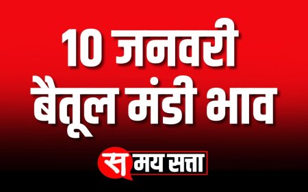 बैतूल मंडी भाव, 10 जनवरी 2025 | Betul Mandi Bhav | आज बैतूल का मंडी भाव