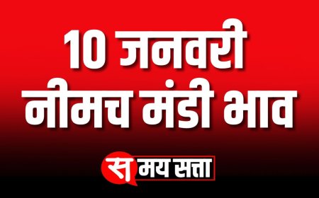 नीमच मंडी भाव, 10 जनवरी 2025 | Today Neemuch Mandi Bhav | आज का नीमच मंडी भाव