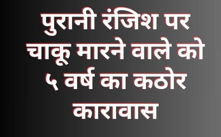 पुरानी रंजिश पर चाकू मारने वाले को ५ वर्ष का कठोर कारावास