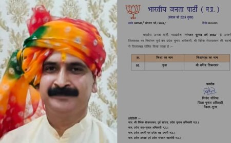 धर्मेंद्र सिकरवार बने गुना जिला अध्यक्ष, भाजपा ने दिखाया भरोसा