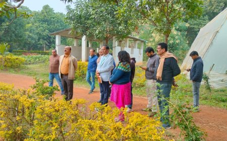 गुना कलेक्‍टर डॉ. सिंह ने किया उद्यानिकी विभाग की नर्सरी का निरीक्षण