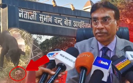 जबलपुर मेडिकल अस्पताल में कुत्ते नोच रहे मानव खोपड़ी, पुलिस करेगी जांच