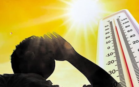 MP Weather: एमपी में कब से शुरू हो जाएगी गर्मी, जानिए मौसम विभाग का अनुमान