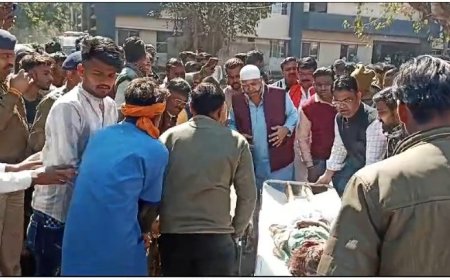 गुना में श्रद्धालुओं से भरी ट्रॉली पलटी, दो की मौत, 20 से अधिक घायल