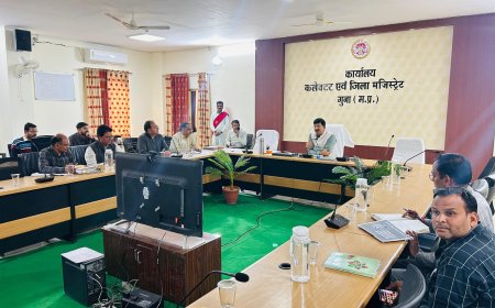 कलेक्टर ने ली स्कूल विभाग की बैठक, बोर्ड परीक्षा तैयारियों को लेकर दिए निर्देश