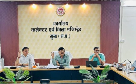 कलेक्टर ने विभागीय योजनाओं के प्रभावी क्रियान्वयन के लिए अधिकारियों को दिए निर्देश