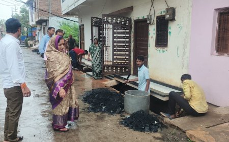 वर्षा पूर्व नाला / नाली सफाई की निगरानी समिति गठित की