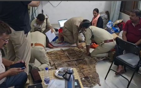 Jabalpur News Today: बाघ की खाल पर बैठने का शौकीन है ट्राइबल विभाग का डिप्टी कमिश्नर, वन विभाग की छापेमार कार्रवाई 