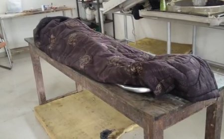 जबलपुर में छेड़छाड़ के विरोध में आरोपी ने 17 वर्षीय किशोरी की कुल्हाड़ी से हत्या