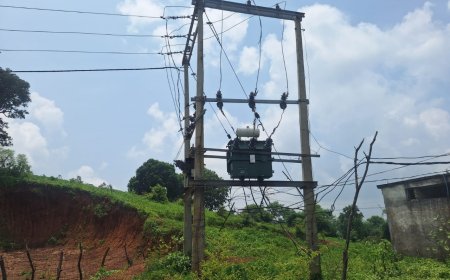 भिंडरा गांव में तार फेंसिंग में करंट लगने से दर्दनाक मौत, गांव में आक्रोश