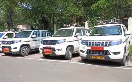 Jabalpur Breaking News :राजस्व विभाग के नए सेटअप से भड़के तहसीलदार, खड़ी कर दी गाड़ियां