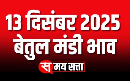 बेतुल मंडी भाव, 13 दिसंबर 2025 | Today Betul Mandi Bhav | आज का बेतुल मंडी भाव