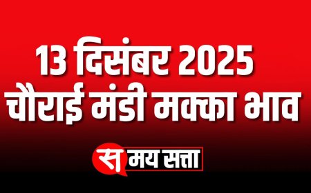 चौराई मंडी मक्का भाव (13 दिसंबर 2025) | Today Chaurai Mandi Makka Bhav | आज का चौराई मंडी मक्का भाव