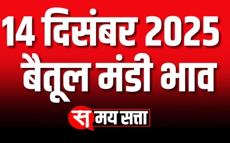 बैतूल मंडी भाव, 14 दिसंबर 2025 | Betul Mandi Bhav | आज का बैतूल मंडी भाव