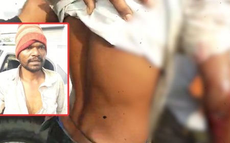 Jabalpur News: कटंगी के मुर्रई में तेंदुए का आतंक, किसान पर किया हमला