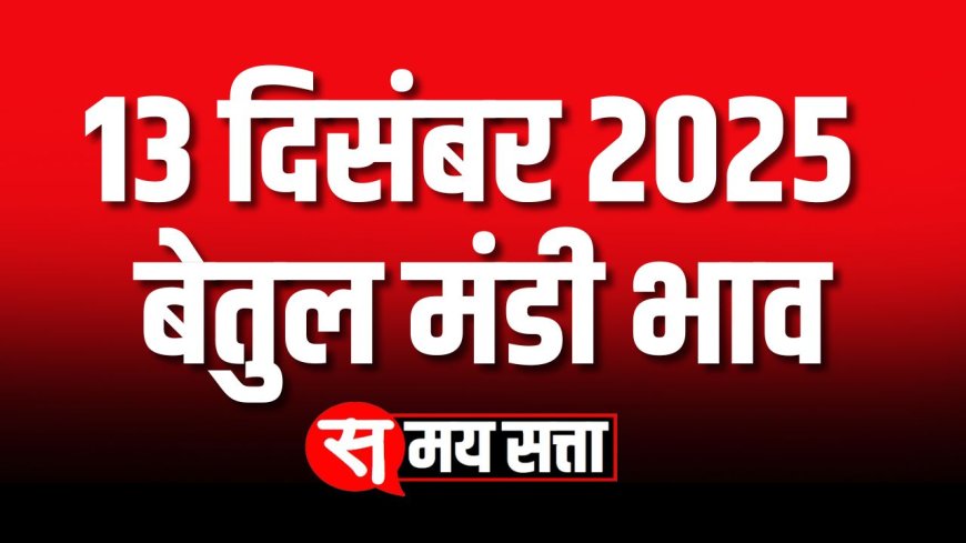 बेतुल मंडी भाव, 13 दिसंबर 2025 | Today Betul Mandi Bhav | आज का बेतुल मंडी भाव