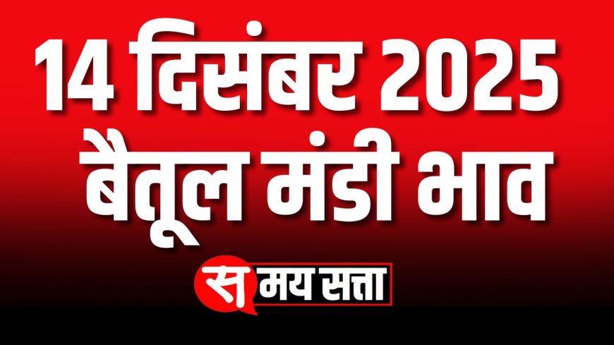 बैतूल मंडी भाव, 14 दिसंबर 2025 | Betul Mandi Bhav | आज का बैतूल मंडी भाव