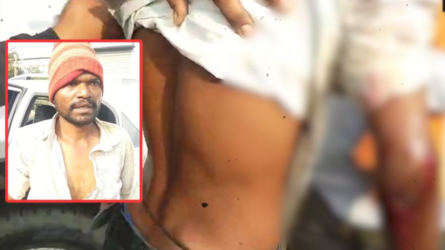 Jabalpur News: कटंगी के मुर्रई में तेंदुए का आतंक, किसान पर किया हमला