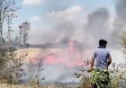 सिवनी के ग्राम भण्डारपुर और सकरदा में भीषण आग: एक चिंगारी से जले कई एकड़ गेहूं के खेत!