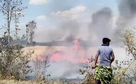 सिवनी के ग्राम भण्डारपुर और सकरदा में भीषण आग: एक चिंगारी से जले कई एकड़ गेहूं के खेत!