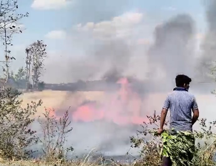 सिवनी के ग्राम भण्डारपुर और सकरदा में भीषण आग: एक चिंगारी से जले कई एकड़ गेहूं के खेत!