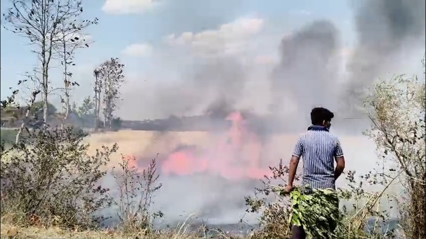 सिवनी के ग्राम भण्डारपुर और सकरदा में भीषण आग: एक चिंगारी से जले कई एकड़ गेहूं के खेत!
